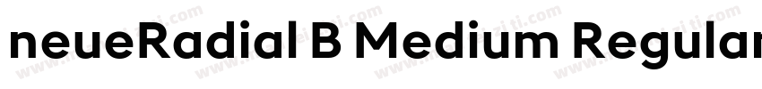 neueRadial B Medium Regular字体转换